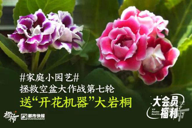 几分钟？橙柿请你挑战自我J9九游会爬60层楼要
